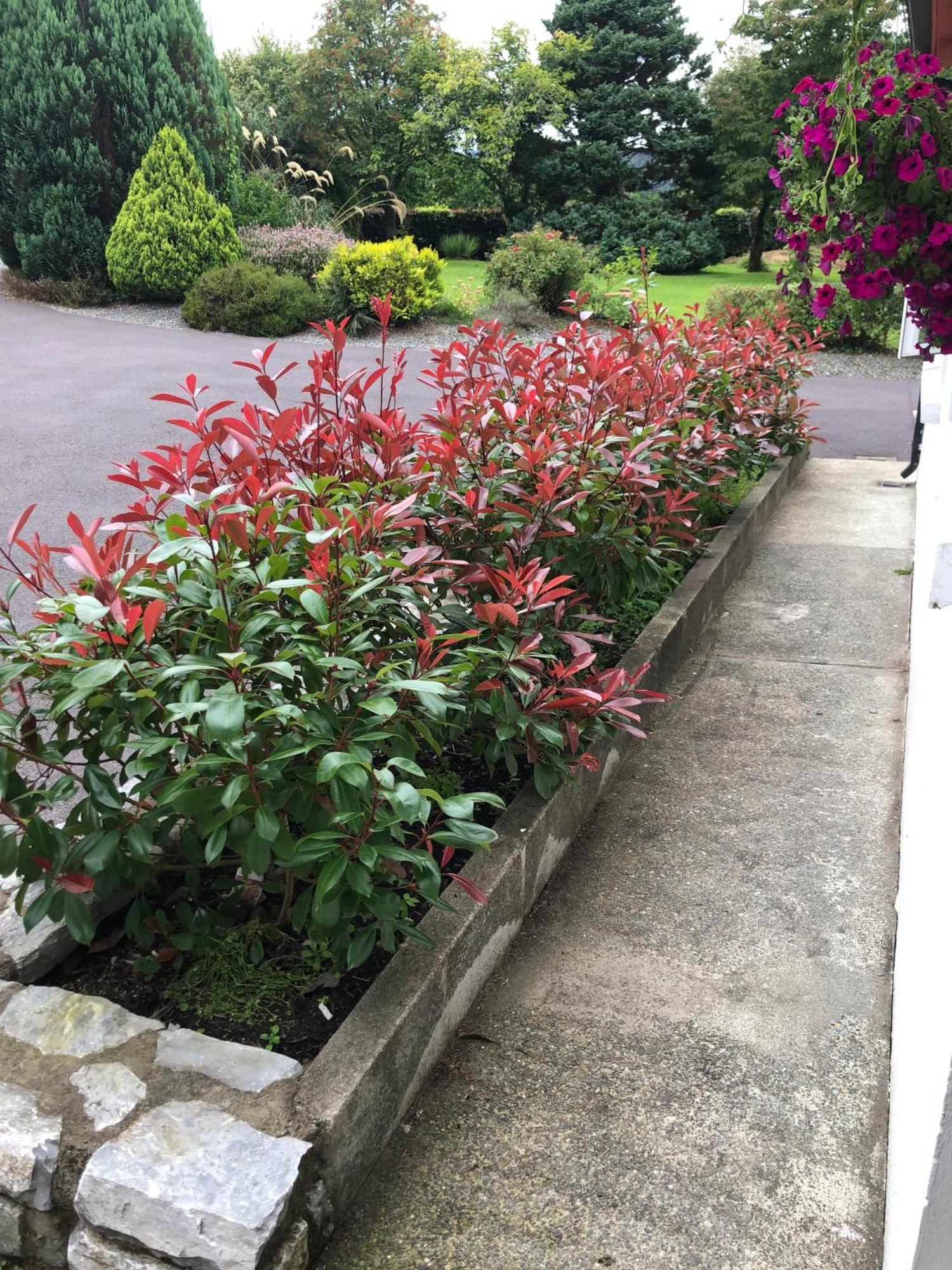 An Bruachan B&B Kenmare Exterior photo